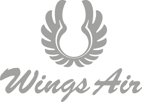 wings air
