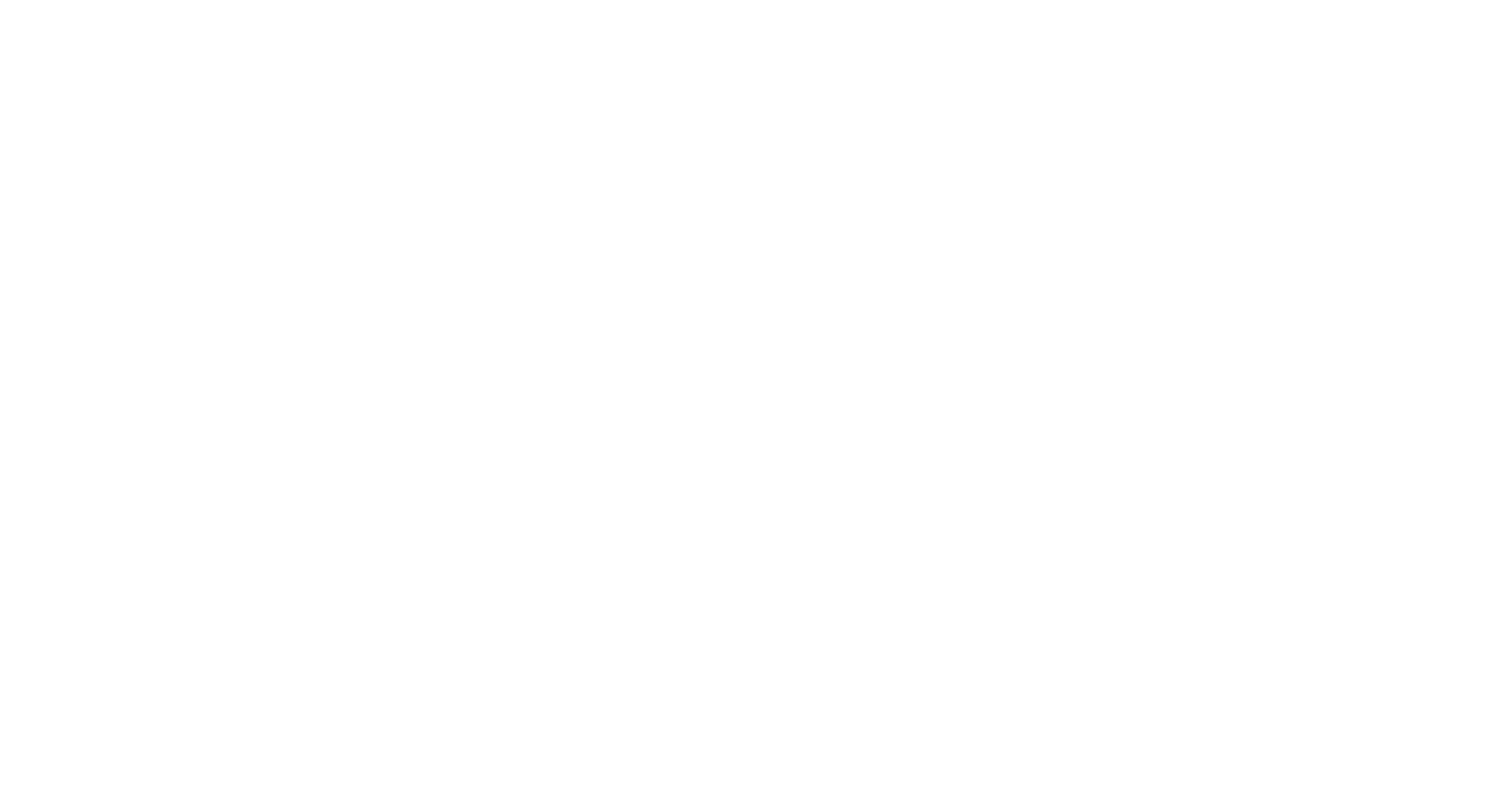 Timor Nusa Dirgantara Logo